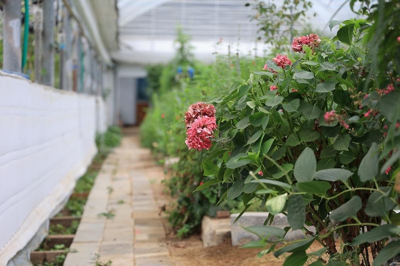 양명힐링캠프 시설 사진 20