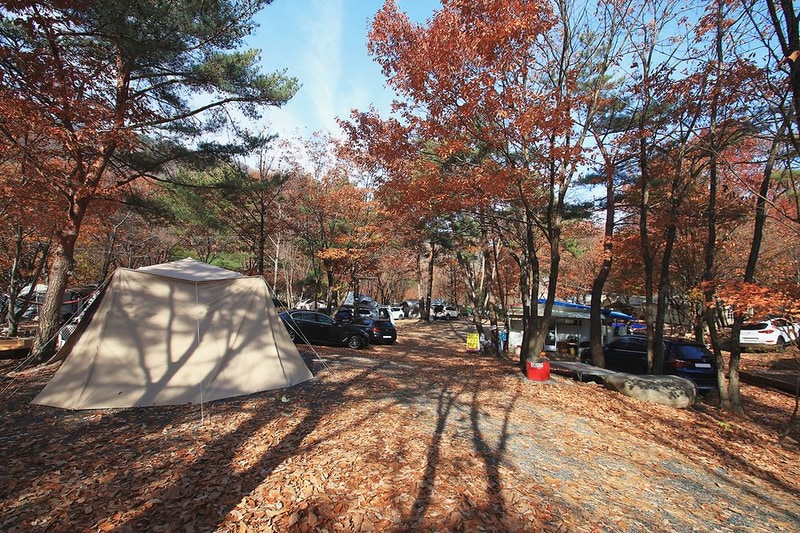 참나무숲 오토캠핑장 시설 사진 15