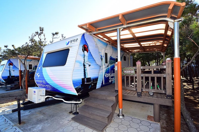 영덕 고래불 국민 야영장 시설 사진 13