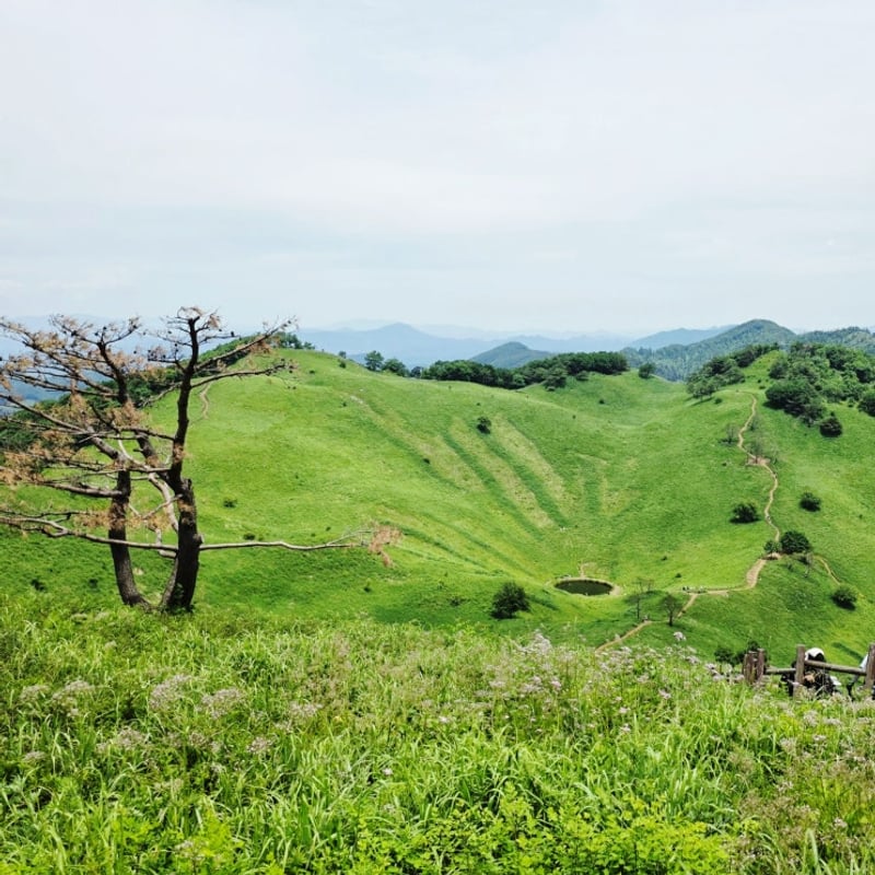 민둥산