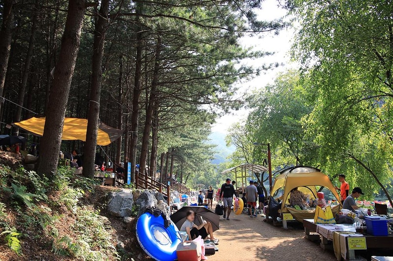 선바위자연캠핑장 시설 사진 11