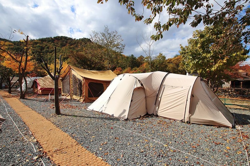 그린하우스캠핑장 시설 사진 6