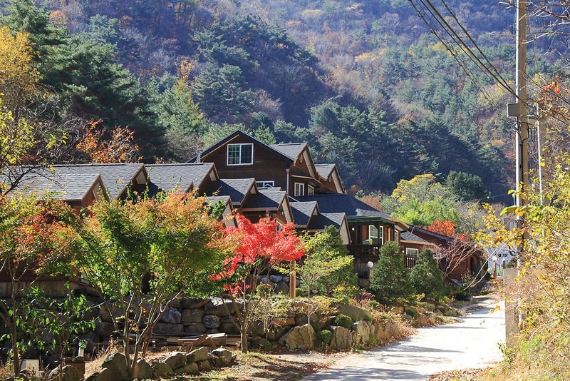 정선 도원펜션&캠핑장 시설 사진 4