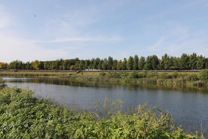 아산곡교천야영장 시설 사진 5