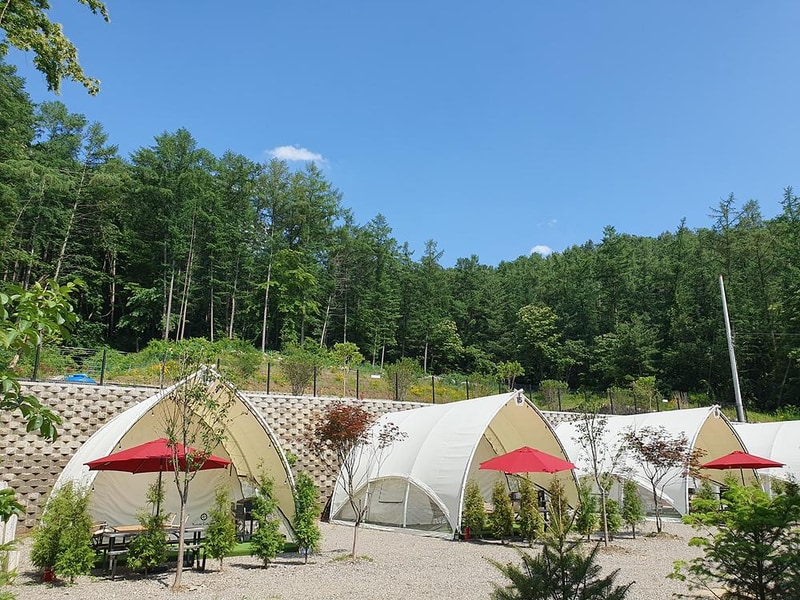 코코숲 바베큐&글램핑 시설 사진 16