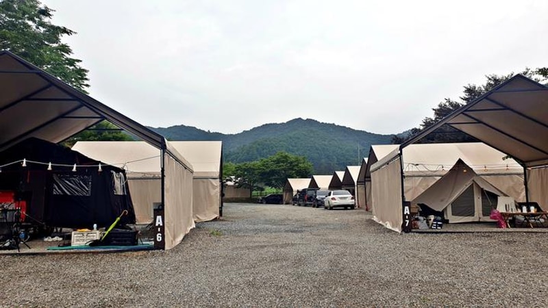 원더 포레스트 대표 사진