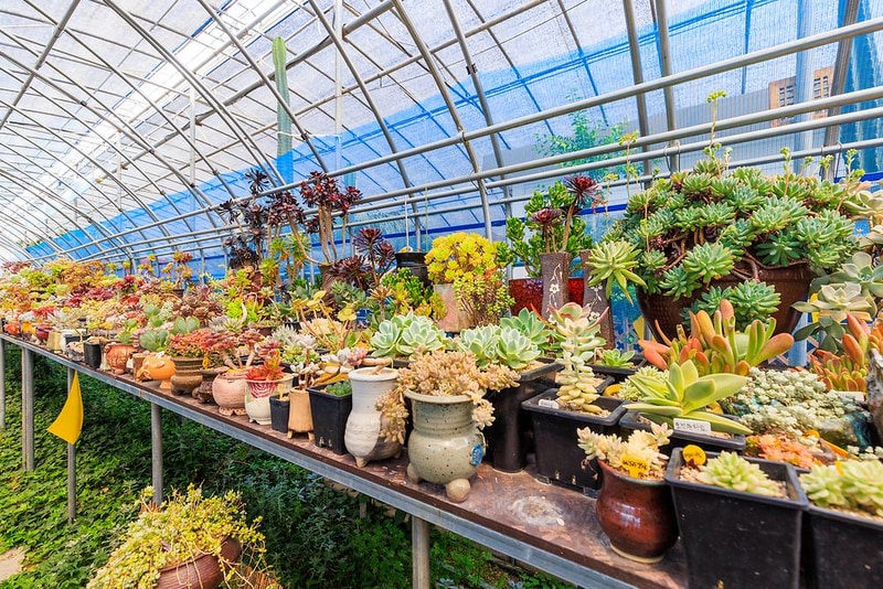 단아한 시설 사진 7