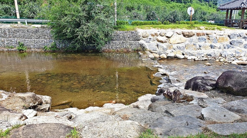 단양 남천 야영장 시설 사진 13