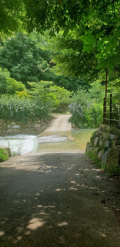 녹색오토캠핑장 시설 사진 1
