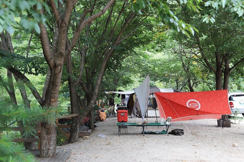 반디하우스캠핑장 대표 사진