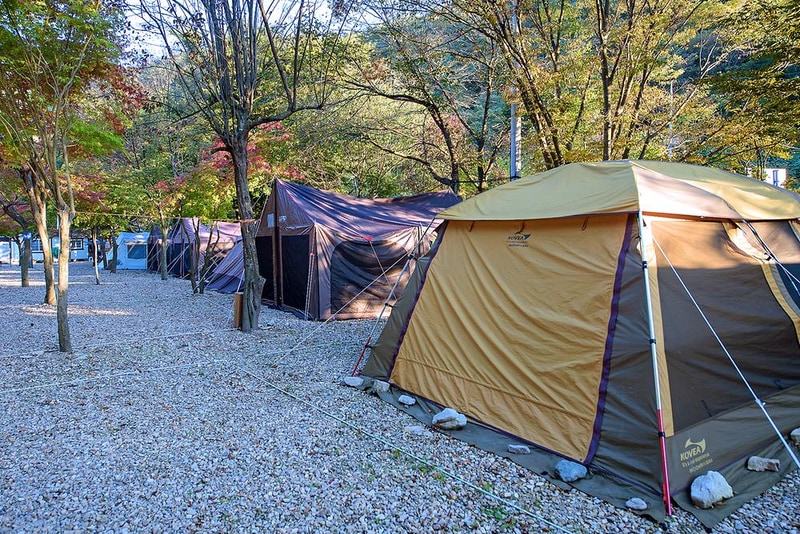 가족소풍캠핑장 시설 사진 2