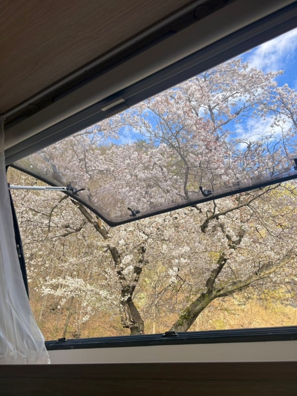 의령 거장산 오토캠핑장