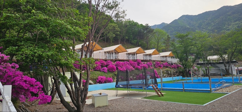 산청프리미엄캠핑장 시설 사진 1
