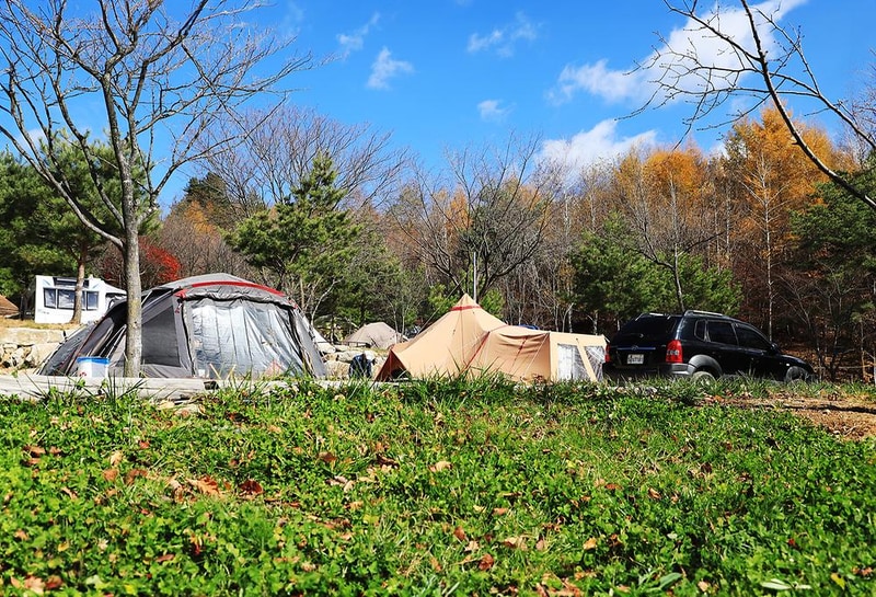 삼남매와 뭉치네 캠핑장 시설 사진 5