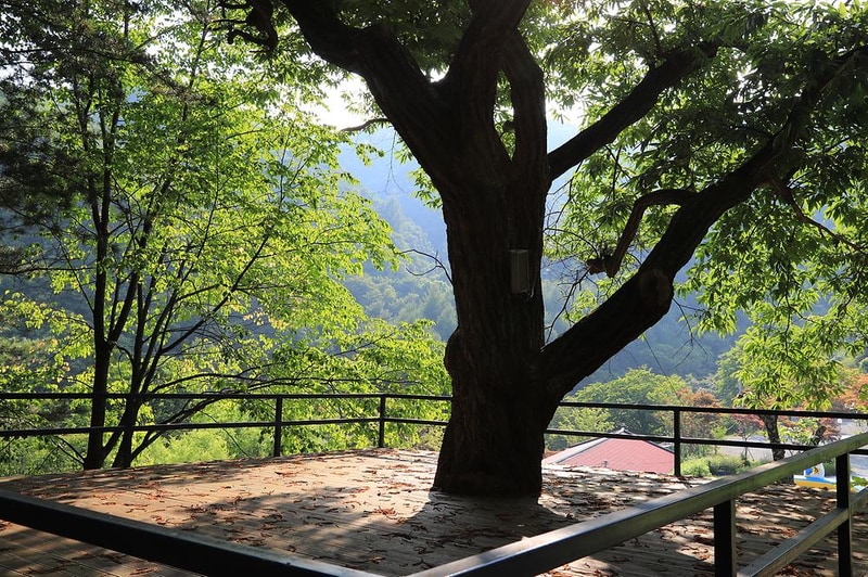 매봉힐링캠프 시설 사진 7