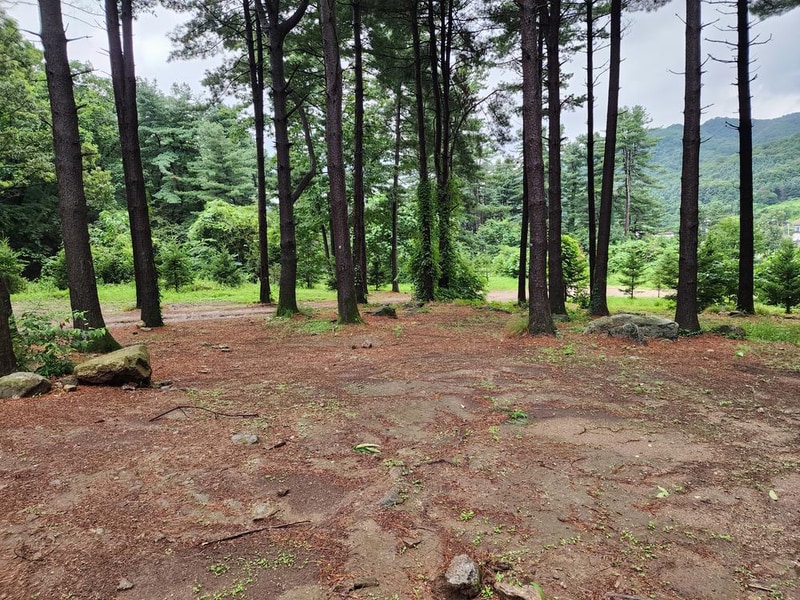 팔현야영장 시설 사진 16