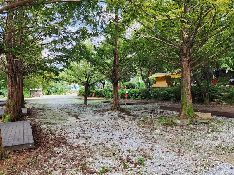 봄이오는 캠프 시설 사진 12