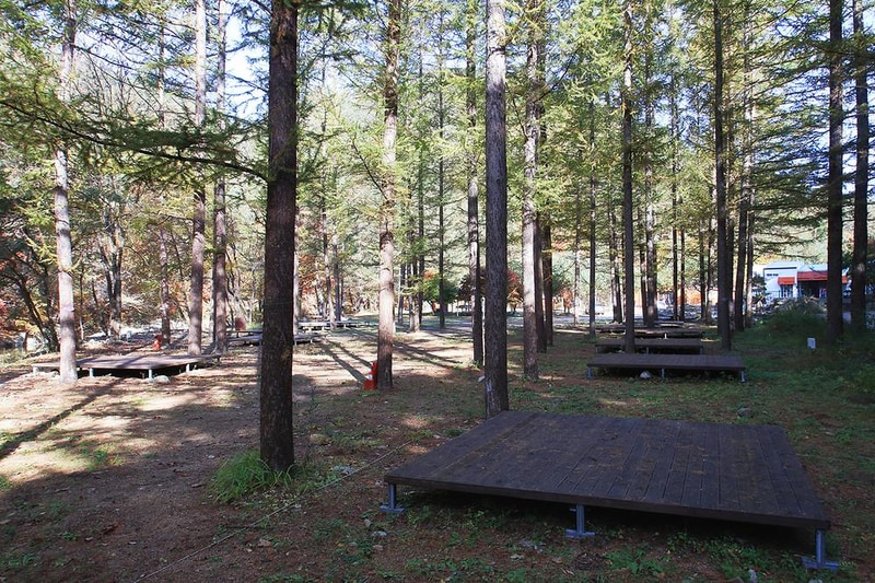 금강송 체험 야영장 시설 사진 12