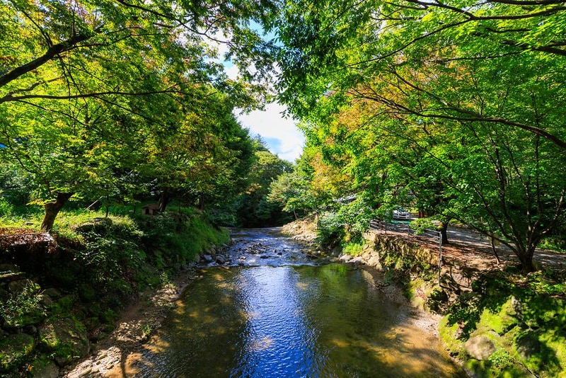 옥당걸숲속관광농원 시설 사진 4