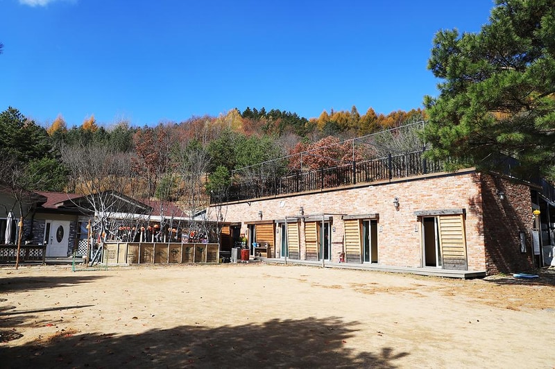 삼남매와 뭉치네 캠핑장 시설 사진 7