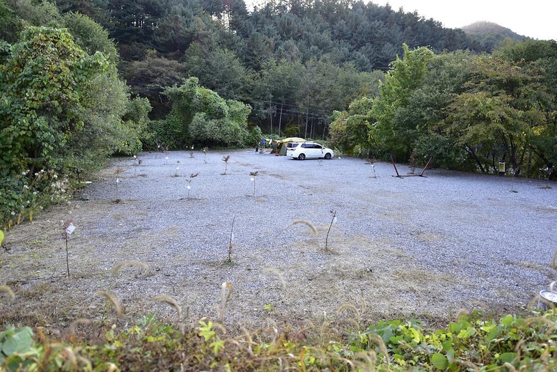 산으로간 니모 캠핑장 시설 사진 21