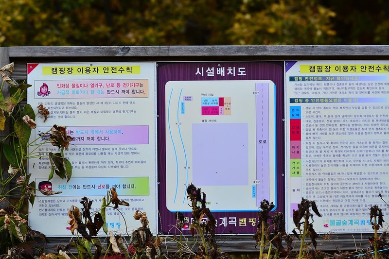 가평 물골숲 계곡 캠핑장 시설 사진 10