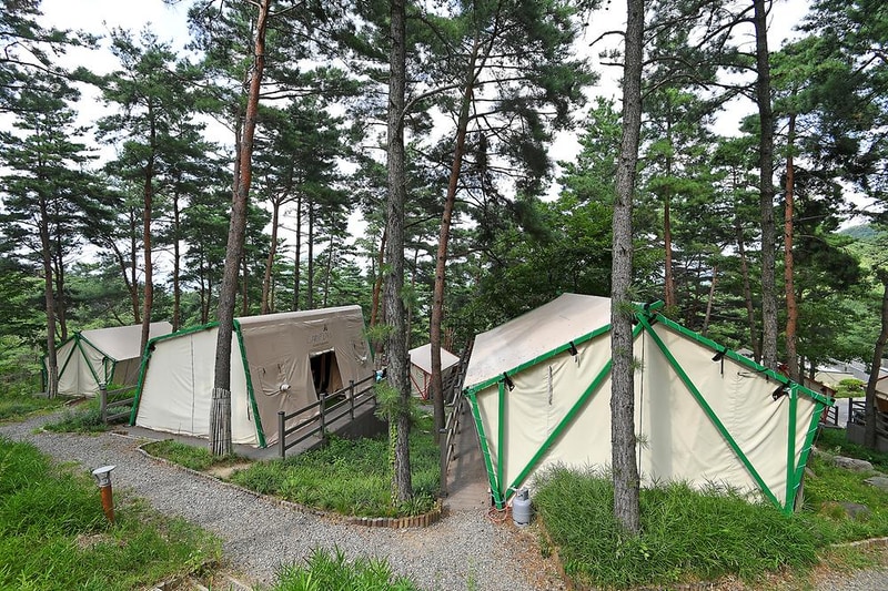 한방자연휴양림 시설 사진 11