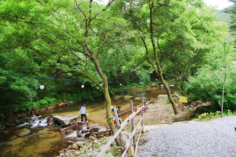 유포리아 캠핑장 시설 사진 2