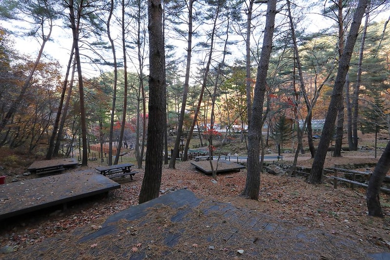 국립검마산자연휴양림야영장 시설 사진 11