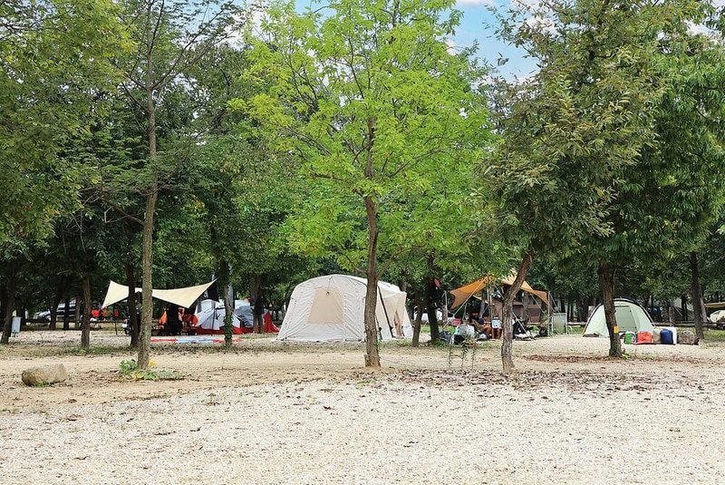 칠봉두루뭉캠핑장 시설 사진 1