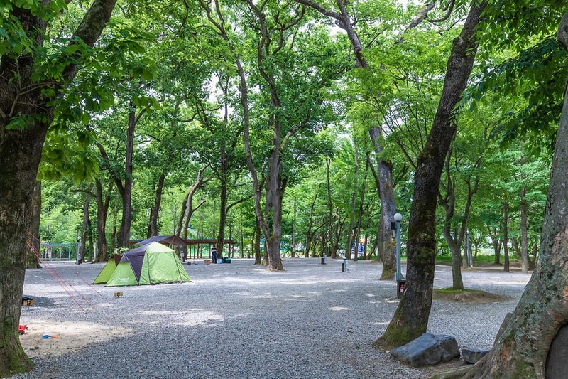 금관숲캠핑장 시설 사진 13