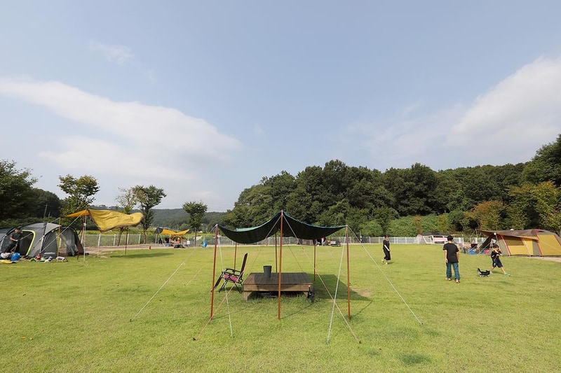 피플앤독 힐링캠핑장 시설 사진 5