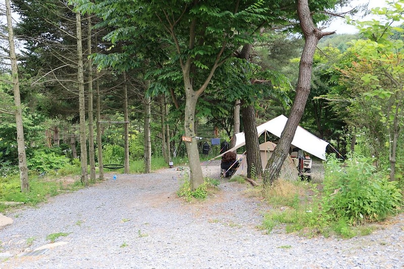 힐링인더 포레스트 시설 사진 1