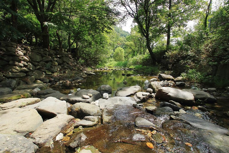 호두나무캠핑장 시설 사진 18