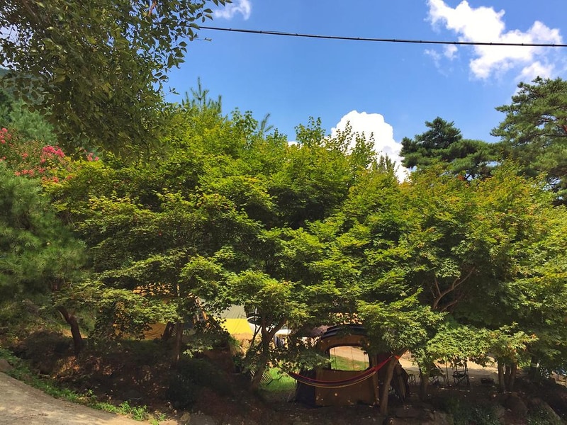 섬지캠핑장 시설 사진 23