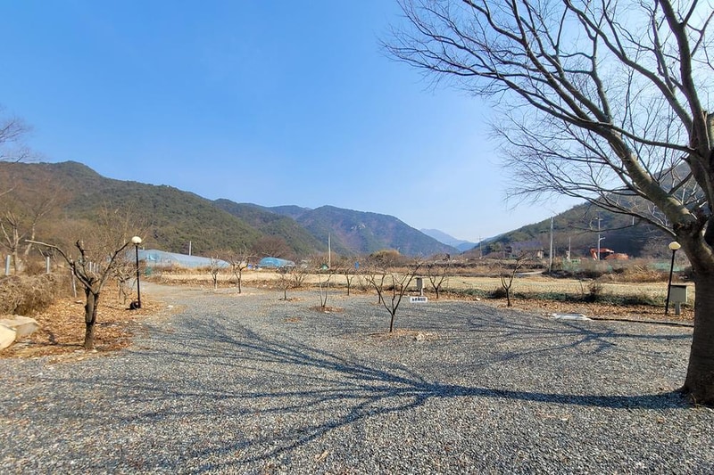 늘푸른캠핑장 시설 사진 8