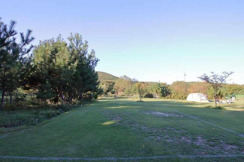 칠포오토캠핑장 시설 사진 5