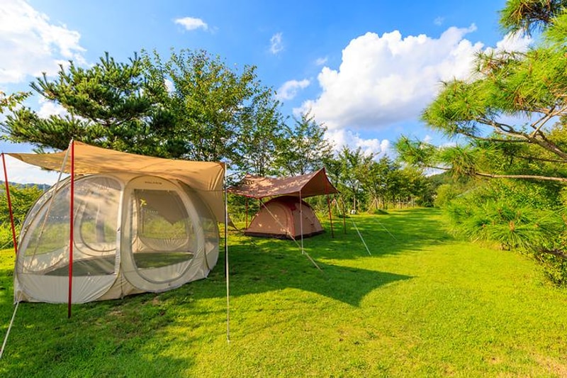 왕산골 관광농원 대표 사진