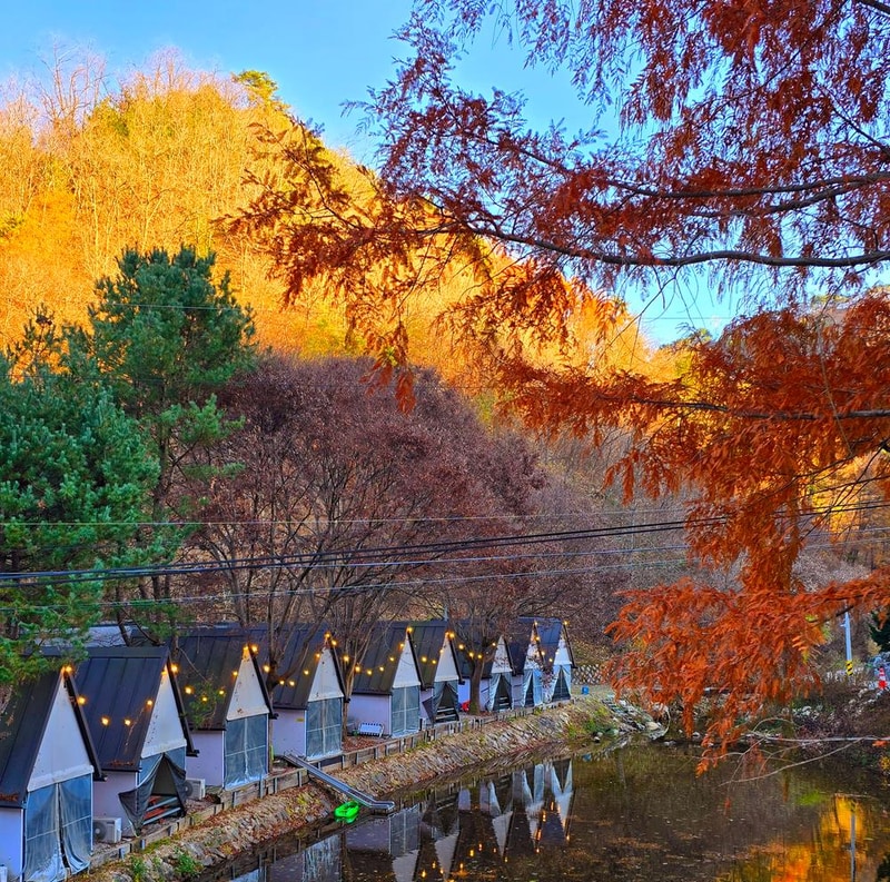 브루조아 시설 사진 10