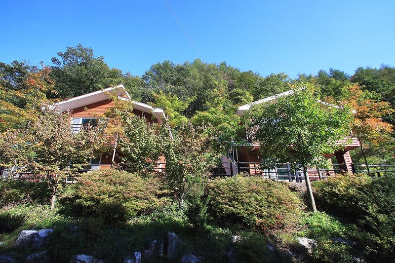 백야자연휴양림 오토캠핑장 시설 사진 9