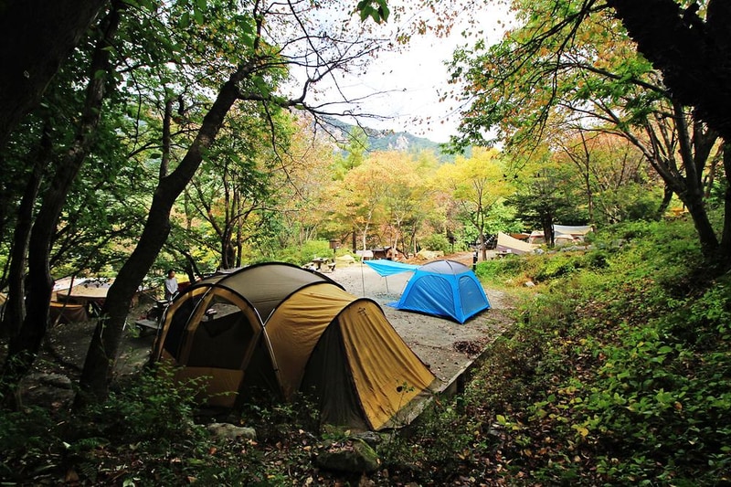 계룡산동학사자동차야영장 시설 사진 19