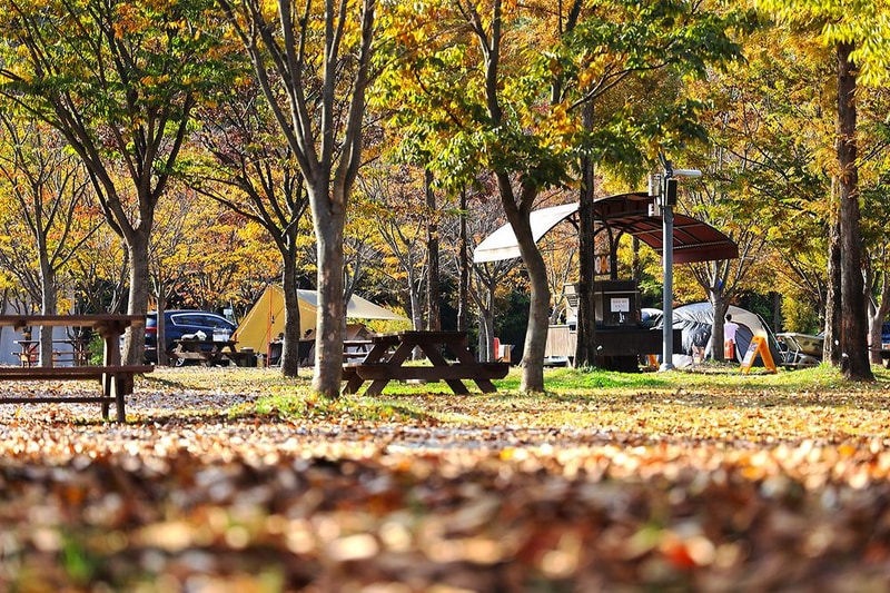 안성맞춤 캠핑장 시설 사진 14