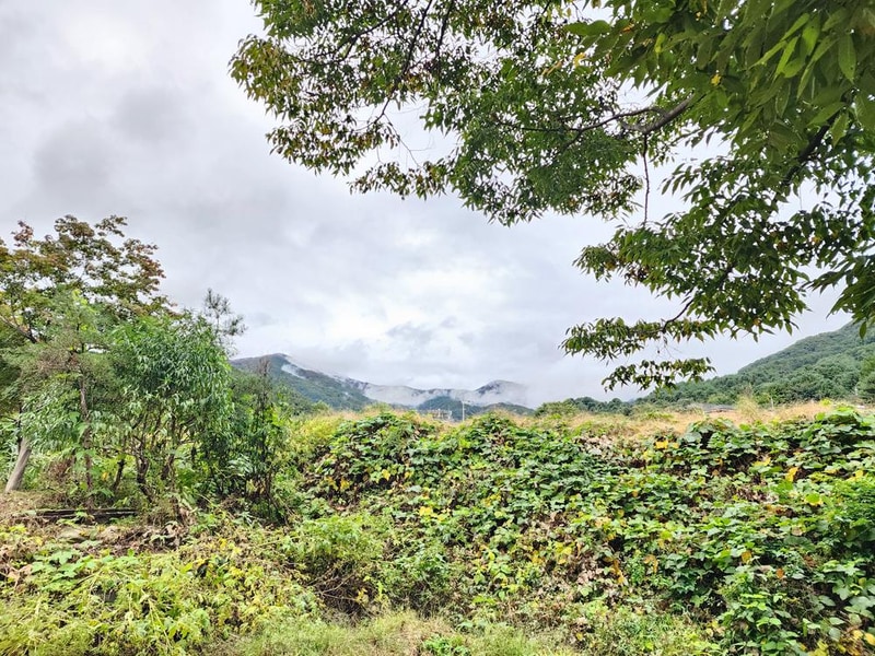 유명산밸리 캠핑장 시설 사진 11