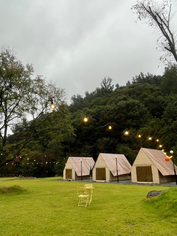 더숲 캠핑&글램핑 대표 사진