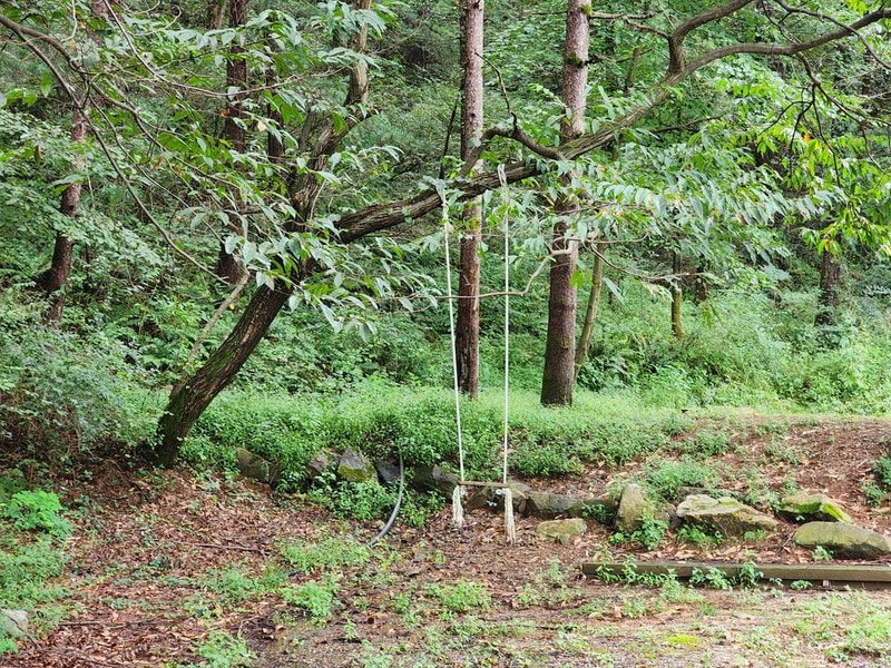 잣숲캠핑장 시설 사진 8