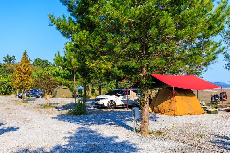 THE쉼오토캠핑장 시설 사진 17