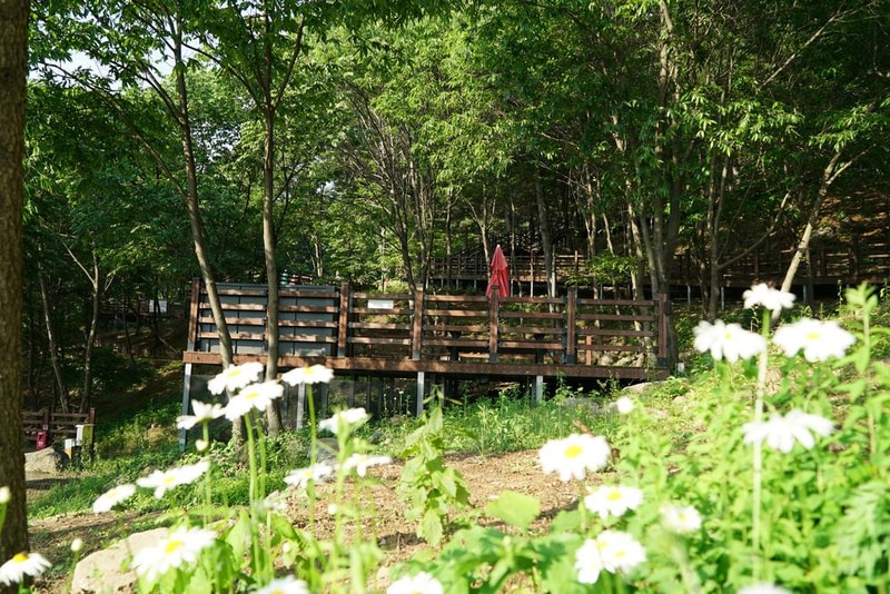 소요별앤숲테마파크 시설 사진 44