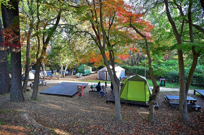 월출산국립공원 천황야영장 시설 사진 10