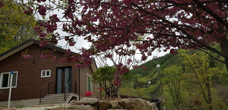 은하수 관광농원 시설 사진 24