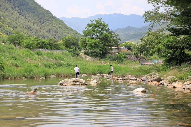 자연과함께 펜션캠핑장 시설 사진 22